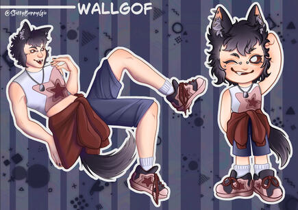 Wallgof